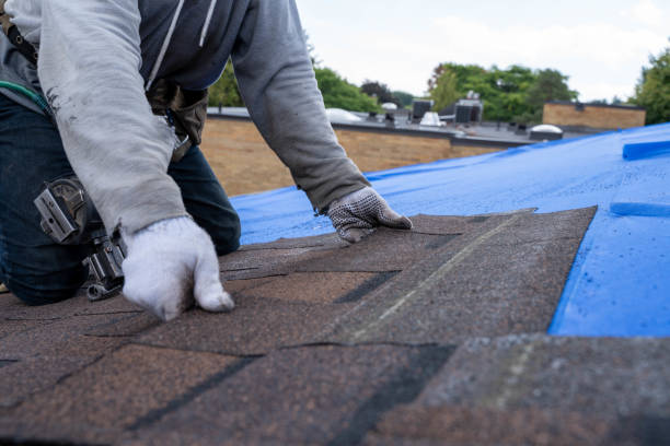 Best Local Roofing Companies  in Oakland, OK
